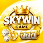 Skywin Game