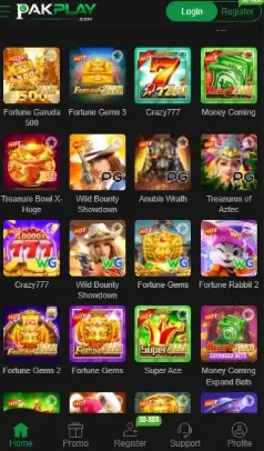 pakplay game
