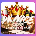 pknice game